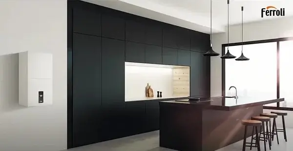 Ferroli Bluehelix Alpha 24C Bluehelix Alpha 24C фото