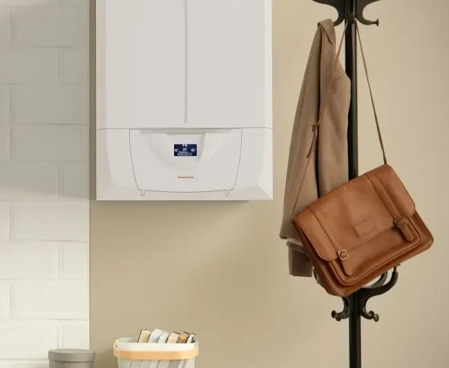 Immergas Victrix Zeus Superior 25 Victrix Zeus Superior 25 фото