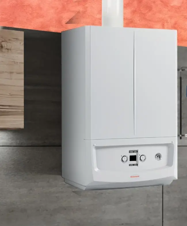 Immergas Victrix Zeus 25 Victrix Zeus 25 фото