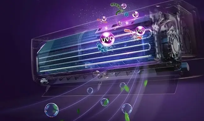 Hisense TG25LE0BG Apple Pie TG25LE0BG Apple Pie фото